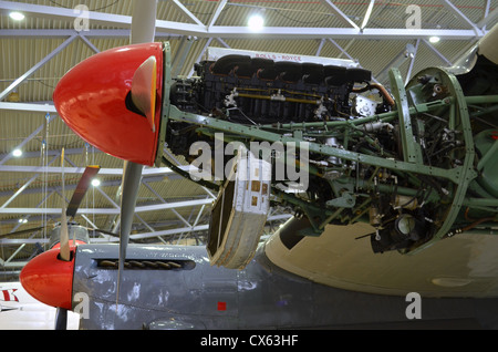 Rolls Royce Merlin V12 motore a pistoni, Avro York, Duxford spazio aereo Foto Stock