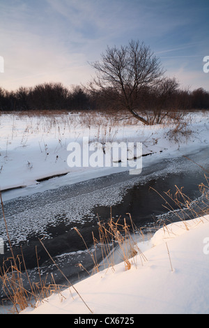 Scena di fiume in inverno Foto Stock