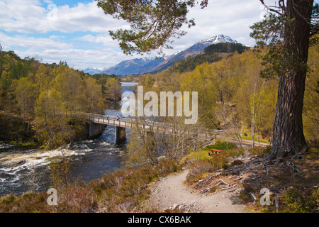 Glen Affric, Fiume Affric, molla, Inverness, Highland Regione, Scozia Foto Stock