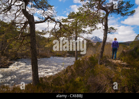 Passeggiate in Glen Affric, molla, Inverness, Highland Regione, Scozia Foto Stock