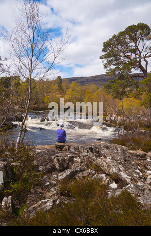 Glen Affric, Fiume Affric, molla, Inverness, Highland Regione, Scozia Foto Stock