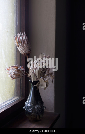 Fiori secchi in un vaso Foto Stock