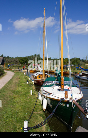 Parco nazionale di Broads da horsey windpump norfolk England Regno unito Gb Foto Stock