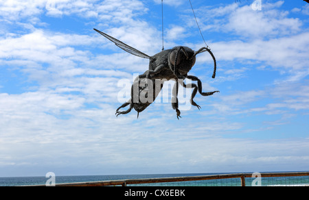 Si rigonfiano Sculpture Festival 2012 'Macro da Ivan Lovatt una scultura in filo zincato al Currumbin fronte spiaggia Foto Stock