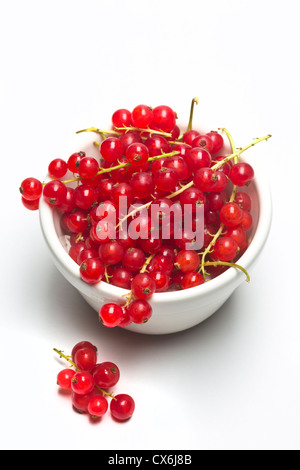 Ribes rosso in una ciotola bianco su sfondo semplice Foto Stock