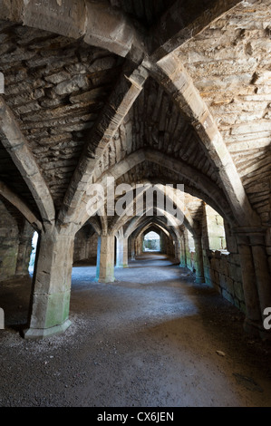 Il seminterrato a Finchale Abbey Durham Regno Unito Foto Stock