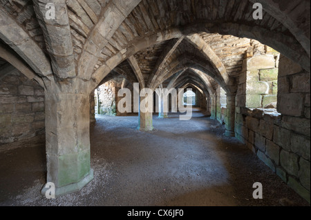 Il seminterrato a Finchale Abbey Durham Regno Unito Foto Stock