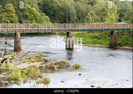 Ponte sul Fiume usura Finchale Abbazia o Priory Durham Regno Unito Foto Stock