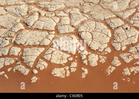 Dettaglio del terreno di un pan asciutto, in Sossusvlei dune di sabbia del deserto del Namib. Namibia Foto Stock