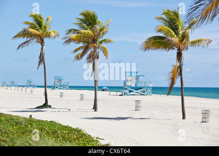 Fila di bagnino torri e palme sulla spiaggia Haulover, Miami-Dade County, Florida, Stati Uniti d'America. Foto Stock