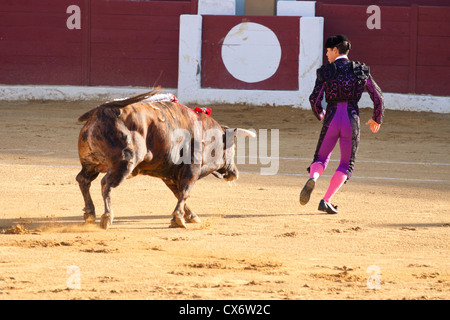 La corrida in Spagna. 21 luglio 2012, La Linea de la Concepcion, Spagna. Foto Stock