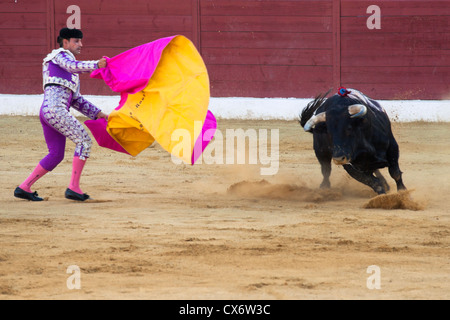 La corrida in Spagna. 21 luglio 2012, La Linea de la Concepcion, Spagna. Foto Stock