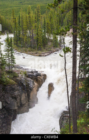 Sunwapta Falls, sul fiume Sunwapta nel Jasper National Park, Alberta, Canada. Foto Stock