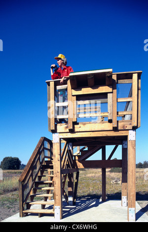 Osservazione degli uccelli bird watching per gli uccelli dalla fauna selvatica torre di osservazione, Donna guardando attraverso il binocolo Foto Stock