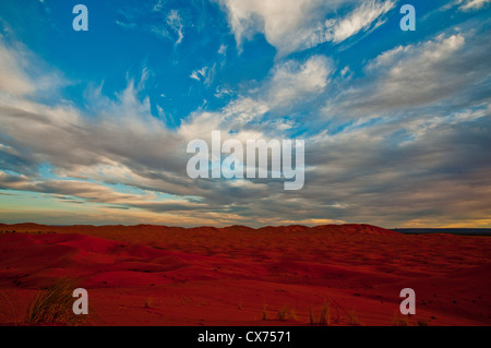 Le dune di sabbia e bellissimo cielo del deserto del Sahara. Foto Stock