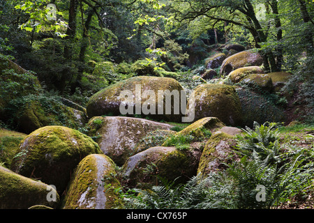 Le Chaos de Rochers, Huelgoat, Finistère Bretagna, Francia Foto Stock