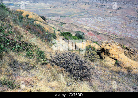 Il paesaggio nei pressi di David Gareja monastero, Kakheti, Georgia Foto Stock