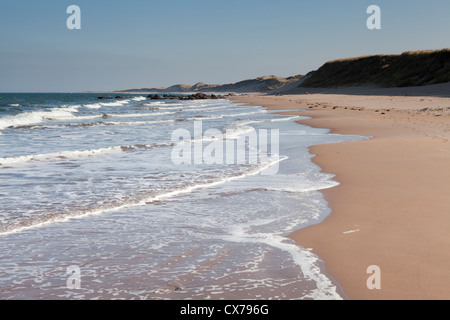 Un vuoto che la spiaggia sabbiosa a Scremeston sulla Northumberland costa dell'Inghilterra Foto Stock