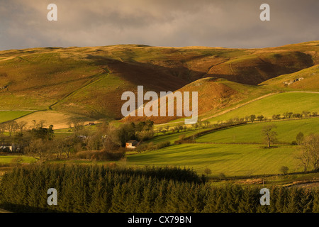 Il Cheviot Hills vicino Alwinton e l'inizio di Coquetdale superiore, nel Parco nazionale di Northumberland, Inghilterra Foto Stock