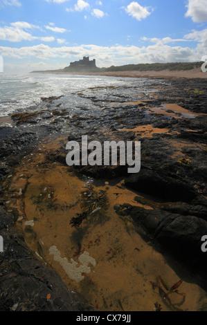 Il castello di Bamburgh sulla costa di Northumberland con rockpools in primo piano. Foto Stock