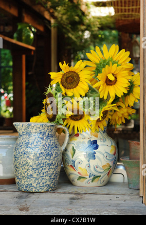 Il giallo dei girasoli in un vaso Foto Stock