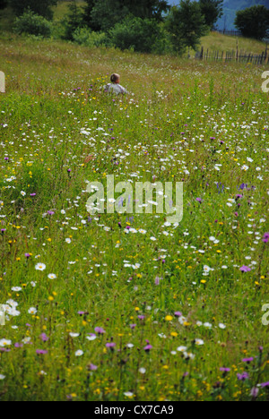 Ragazzo corre nel campo tra i fiori selvatici, Maramures, Romania Foto Stock