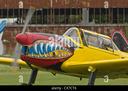 De Havilland DHC-1 Scoiattolo striado aerei da addestramento Foto Stock