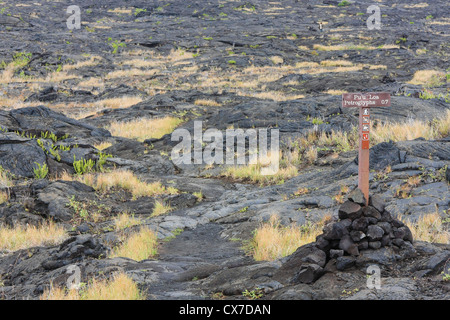 Segnavia per Pu'u loa incisioni rupestri - La vegetazione superbamente adattata per le emissioni di biossido di zolfo dei vulcani delle Hawaii, Foto Stock