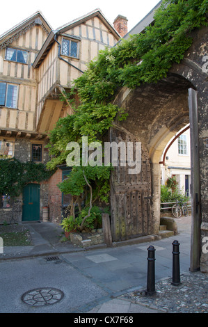 Il priorato di gate, ricoperta con il glicine, è l'antica xv secolo entrata sud di Winchester Cathedral interna del vicino. Hampshire, Inghilterra, Regno Unito. Foto Stock