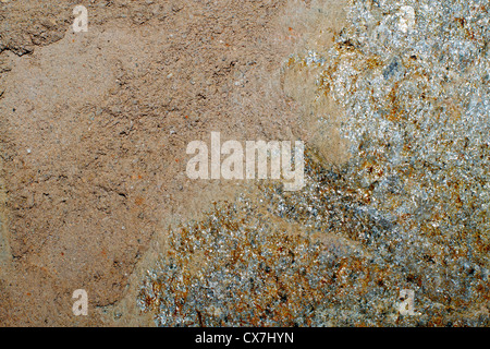 Parete di arenaria texture di casa ( pietre dal Mare Mediterraneo costa) Foto Stock