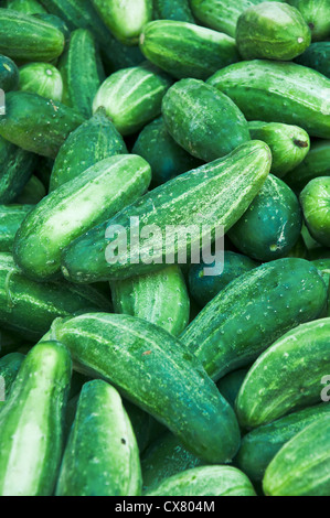 Mazzetto di cetrioli in un mercato degli agricoltori Foto Stock