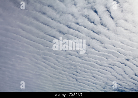 Cirrus cloud sul cielo blu Foto Stock