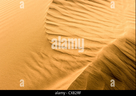 Desert Dune di sabbia. Fotografato in Israele nel deserto del Negev Foto Stock