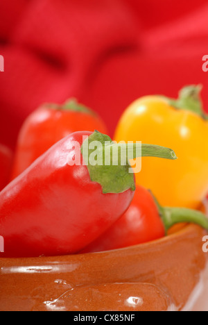 Varietà di coloratissimi peperoncini sul display in un cazuela spagnolo Foto Stock