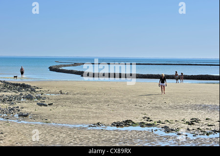 Antico borgo medievale di pesce / bloccaggio écluse, il modo tradizionale di intrappolando pesce a bassa marea sull'isola Ile de Ré, Charente-Maritime, Francia Foto Stock