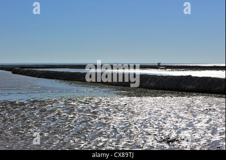 Antico borgo medievale di pesce / bloccaggio écluse, il modo tradizionale di intrappolando pesce a bassa marea sull'isola Ile de Ré, Charente-Maritime, Francia Foto Stock