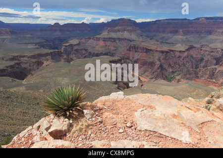 Vista della parte interna del Grand Canyon dal punto di scheletro con il Fiume Colorado in distanza Foto Stock