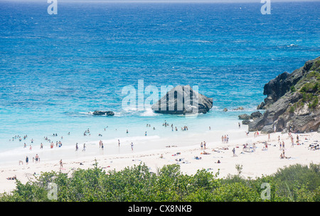 Molte persone di colore rosa sulla spiaggia di sabbia e acque blu delle Bermuda Foto Stock