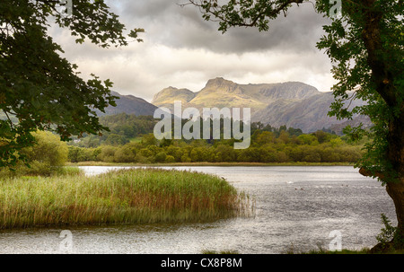 Il sorgere del sole e illuminando Langdale Pikes con acqua Elter in primo piano Foto Stock