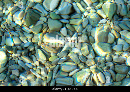 Sul fondo del mare, Prizba, Isola di Korcula, Dalmazia, Croazia Foto Stock