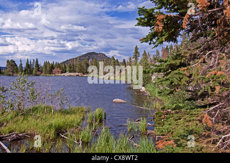 Ratti Sprague lago nel Parco Nazionale delle Montagne Rocciose Foto Stock