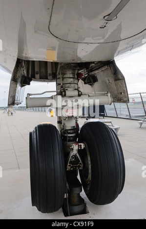 Parte posteriore del carrello di atterraggio di un KLM Fokker 100 Foto Stock