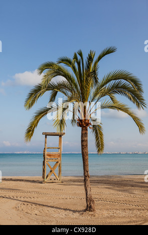 Immagine di mattina di un vuoto Mediteraneean Beach con un albero di palma e un bagnino in legno stazione, situata a Mallorca, Spagna. Foto Stock