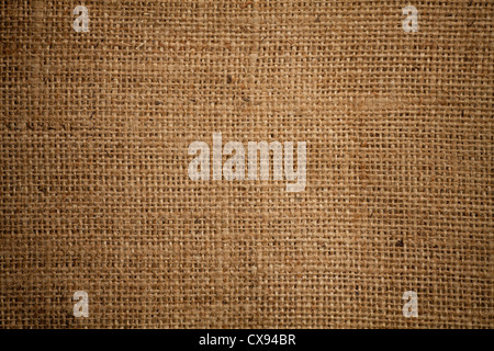 Alta qualità di tela o di licenziamento o cilicio texture Foto Stock