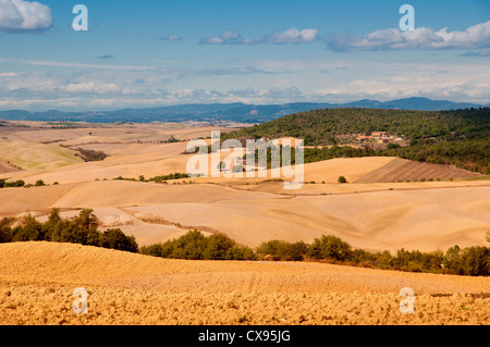 Tipico paesaggio toscano in autunno Foto Stock