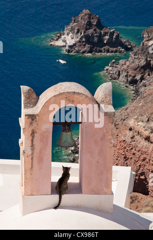 Cat in ombra della torre campanaria si affaccia su Santorini caldera vulcanica Foto Stock