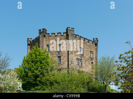 Castello di Durham Foto Stock