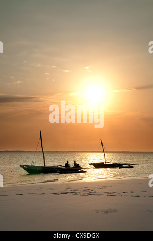Due dhow tradizionale ormeggiata sulla spiaggia al tramonto, Michamwi, Zanzibar Africa Foto Stock