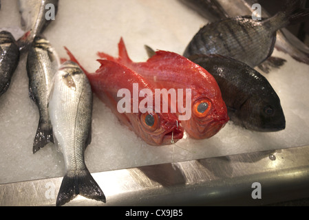 Il pesce in vendita su un mercato in Spagna. Foto Stock