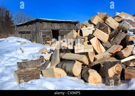 Granaio e legna da ardere, inverno, Veliky Novgorod, Novgorod, Russia Foto Stock